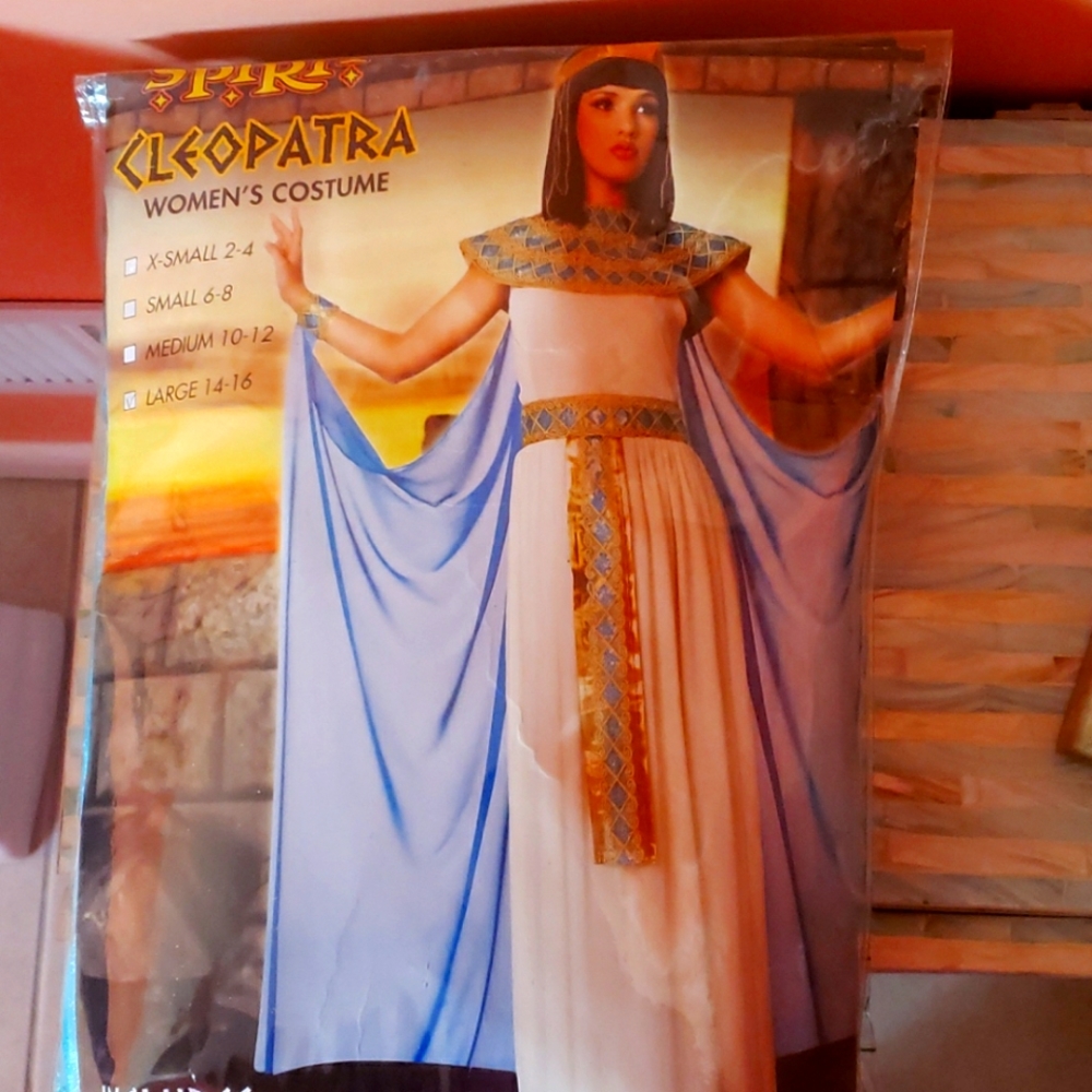 Adult women's costume large size 14_16